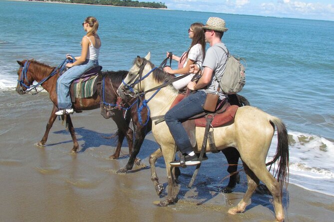 Puerto Plata City Horseback Riding Tour ,Rios,Beaches and Countryside - Who will get the most from this $58 experience