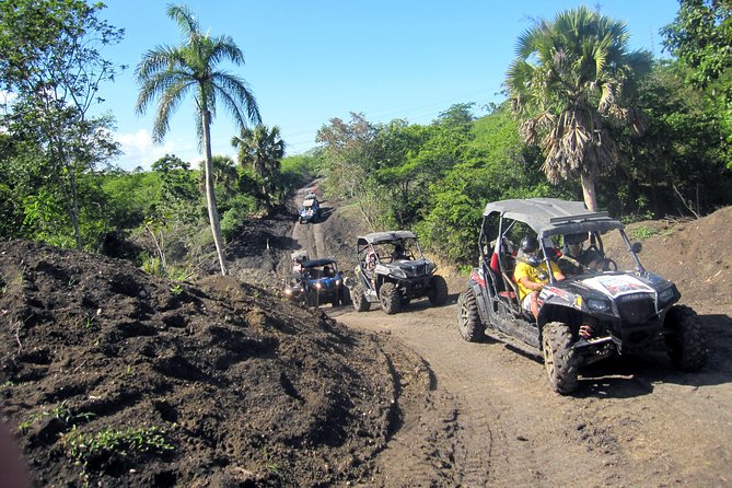 Puerto Plata: Damajagua waterfalls + Safari buggy + Horseback riding (TOP3IN1) - Who will get the most from this tour