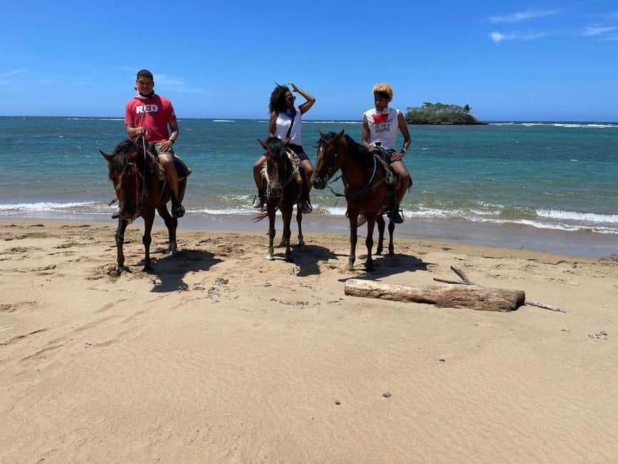 Puerto Plata: Horseback Riding Tour - Key points to know before booking