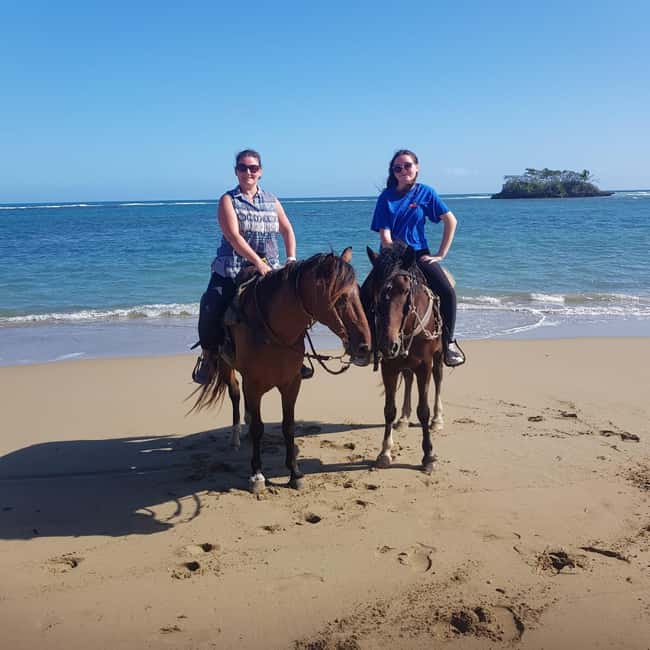 Puerto Plata: Horseback Riding Tour - Getting started: transfers, briefing, and saddled horses