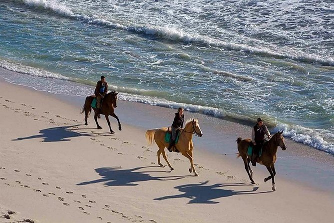 Puerto Plata: Sunset Beach Horseback Riding - The ocean swim with a horse