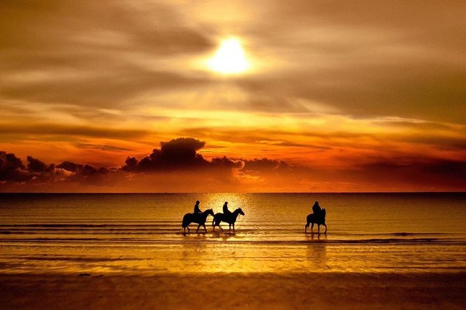 Puerto Plata: Sunset Beach Horseback Riding - Horses, guides, and the feel of a private ride