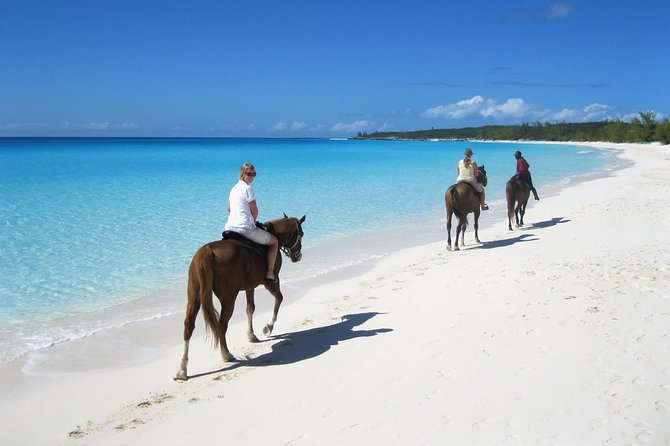 Puerto Plata: Sunset Beach Horseback Riding - How the $69 price measures up