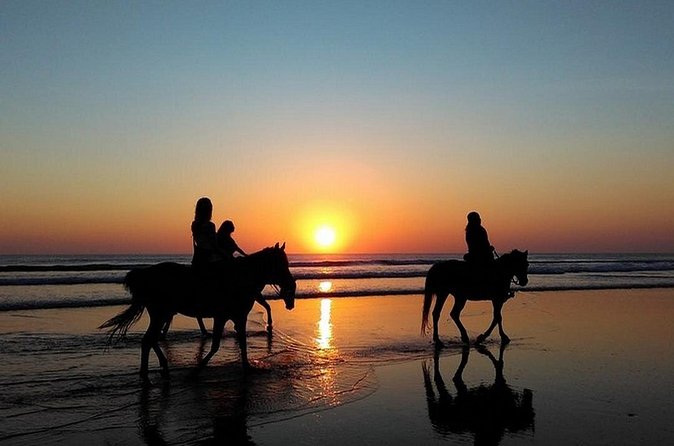 Puerto Plata: Sunset Beach Horseback Riding - Who should book this Puerto Plata ride