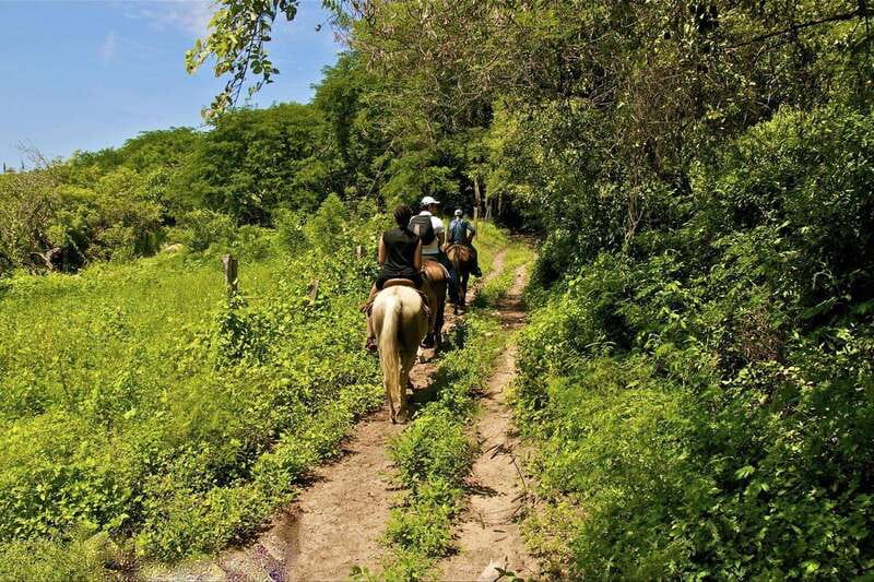 Puerto Vallarta Horseback Riding - The main question: is $90 good value?