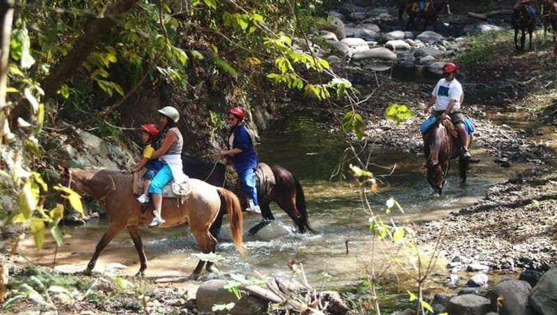 Puerto Vallarta: Horseback Riding at Hacienda Doña Engracia - Following the Mascota River