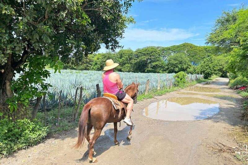 Puerto Vallarta: Horseback Riding, Lunch & Unlimited Drinks - The optional river swim