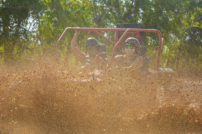Punta Cana: 4 Hours Tour in Cueva Playa Horseback Riding - Who should book this experience?