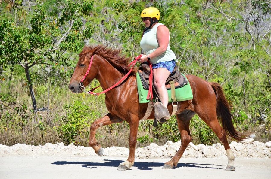Punta Cana: Bávaro Adventure Park Horse Riding & Waterfalls - The Waterfall Pool is for cooling off, not wilderness