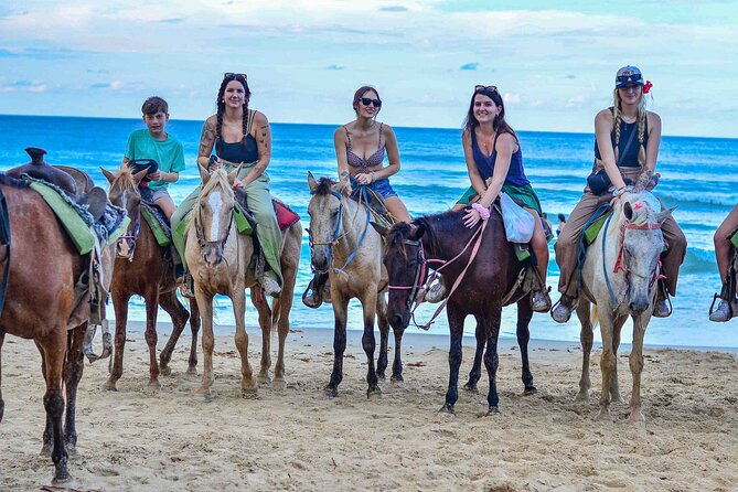 Punta Cana Beach Horseback Ride Paradise Coast Experience - Key points at a glance