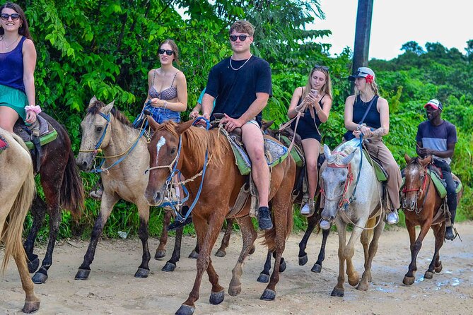 Punta Cana Beach Horseback Ride Paradise Coast Experience - The beach section is the main reward