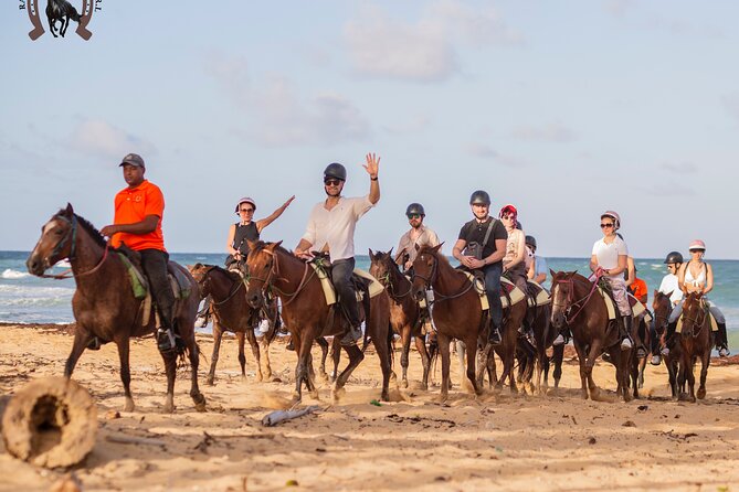 Punta Cana Beach Horseback Riding - Photos, coconut water, and the post-ride stop