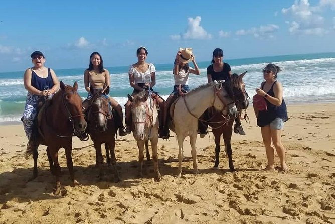 Punta Cana Beach Horseback Riding - Who should book this Punta Cana ride?