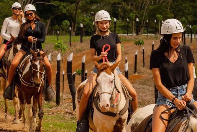 Punta Cana Horse Riding for Beaches in Field - The Palma Caribe service and the small extras