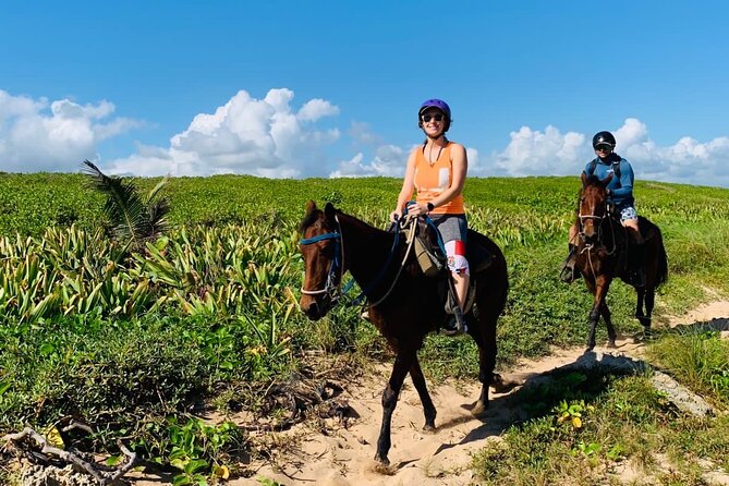 Punta Cana Horseback Ride: Jungle, Macao Beach & Free Pick Up - The typical house, coffee, and cocoa stop