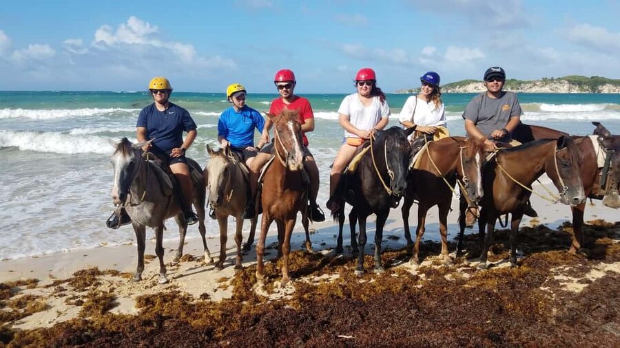Punta Cana: Horseback Ride to Macao Beach - Key points to know before booking