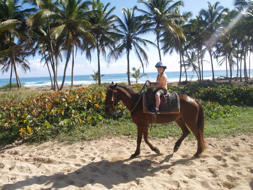 Punta Cana: Horseback Ride to Macao Beach - What the beach section is really like