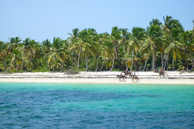 Punta Cana Horseback Riding Adventure - Can experienced riders gallop?