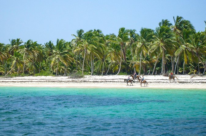 Punta Cana Horseback Riding Adventure - Who will enjoy this ride most