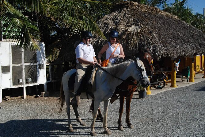 Punta Cana Horseback Riding on the Beach - From beach paths to the river meeting the sea