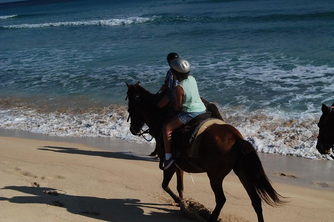 Punta Cana Horseback Riding on the Beach - Water time, coconuts, and the small extra costs