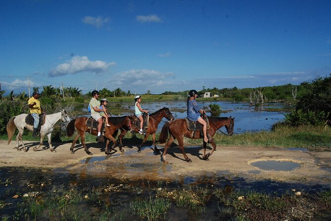Punta Cana Horseback Riding on the Beach - Is $75 a fair price for this Punta Cana ride?