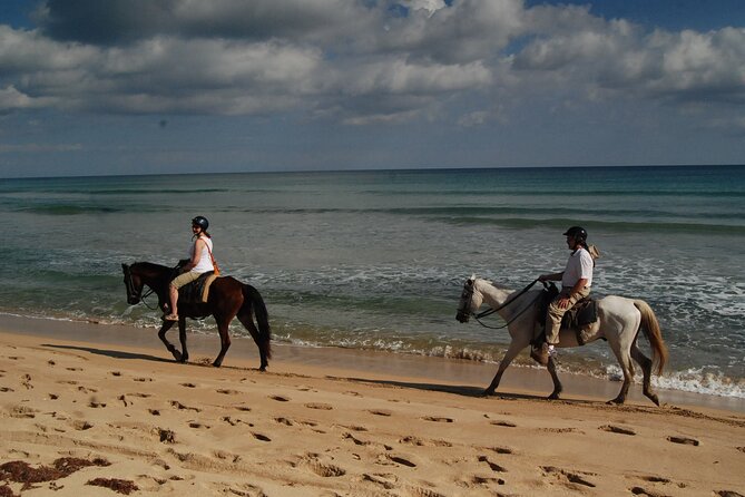 Punta Cana Horseback Riding on the Beach - Who will enjoy it most