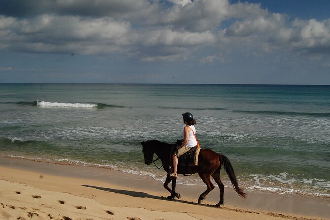 Punta Cana Horseback Riding on the Beach - Who should think twice