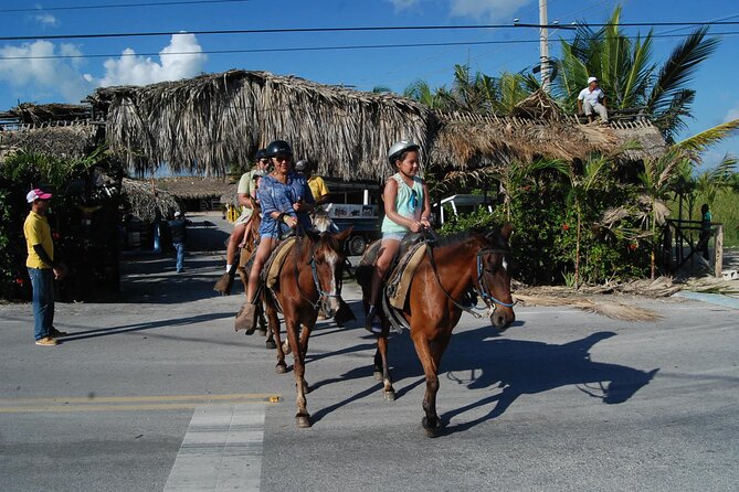 Punta Cana Horseback Riding on the Beach - Starting at the stable and meeting your horse