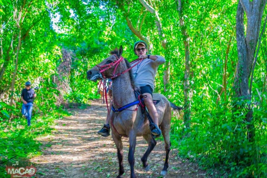 Punta Cana Horseback riding & Sunset + beach + free pick-up - Key points at a glance
