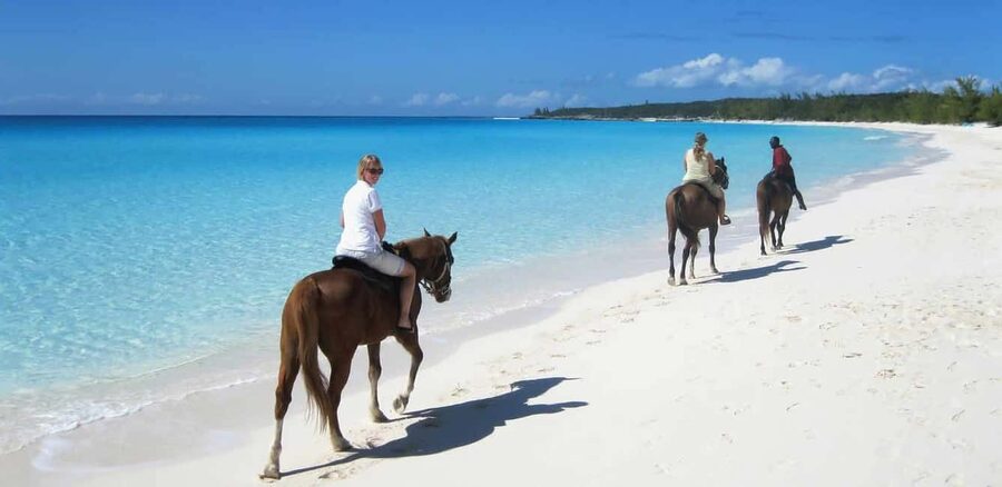 Punta Cana: Horseback Riding through Stunning Beaches - From ranch paths to the Caribbean shore