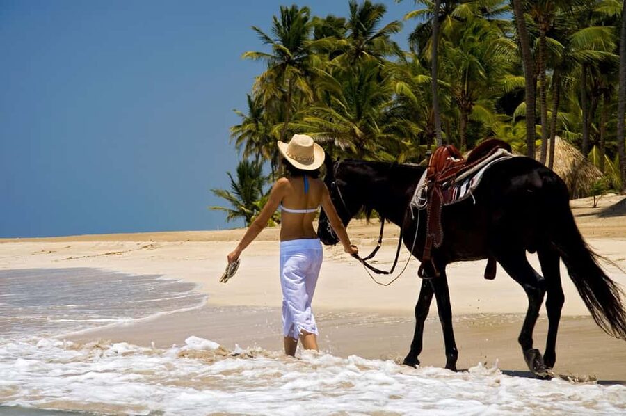 Punta Cana: Horseback Riding through Stunning Beaches - The forest and country-road opening