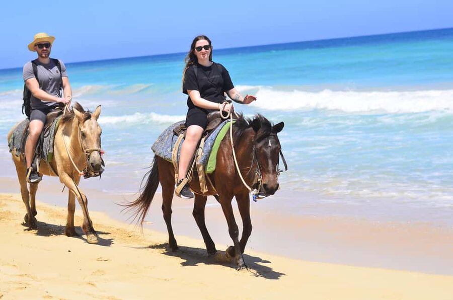 Punta Cana: Macao Beach & Forest Horseback Riding Tour - Riding from the forest to Macao Beach