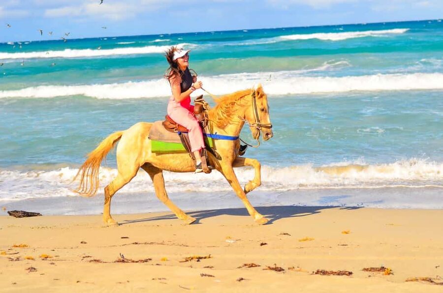 Punta Cana: Macao Beach & Forest Horseback Riding Tour - How much value do you get for $55?