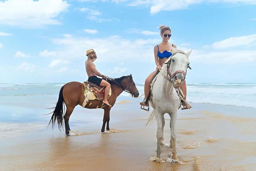 Punta Cana: Macao Beach & Forest Horseback Riding Tour - The horses and the guides