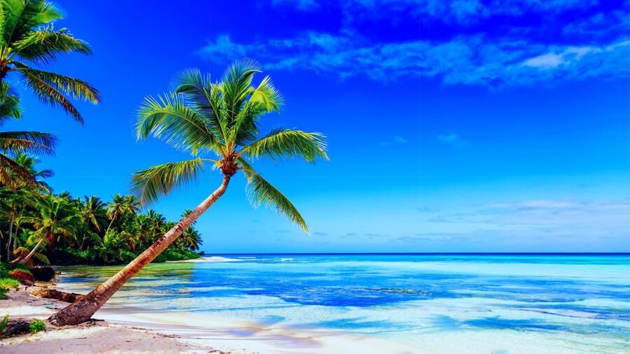 Punta Cana: Samaná Day Tour with Horse Ride and Cruise - Practical preparation for an easier day