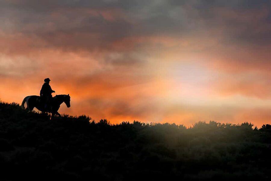 Punta Cana: Sunset Horseback Ride in Macao Beach and Forest - Key points before you book