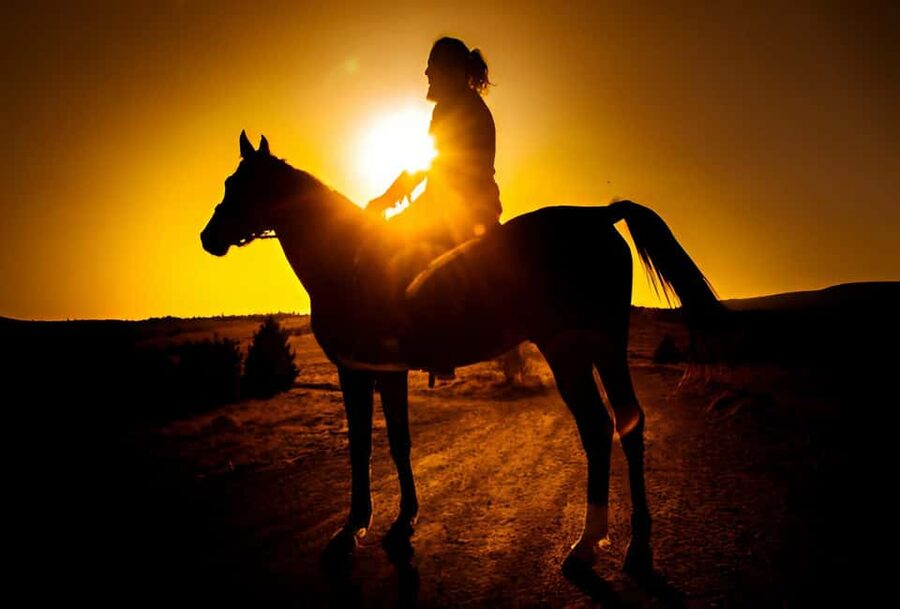 Punta Cana: Sunset Horseback Ride in Macao Beach and Forest - The first stop: a short shopping visit