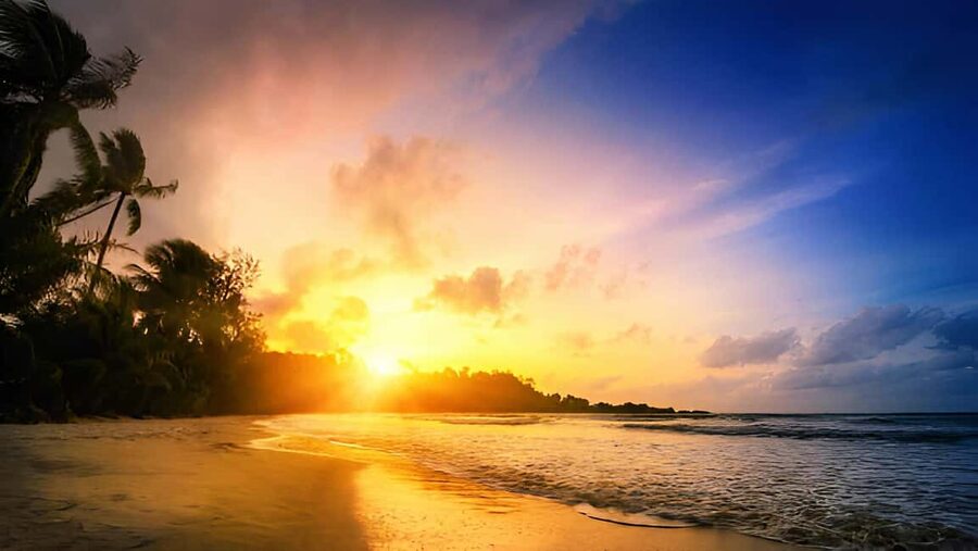 Punta Cana: Sunset Horseback Ride in Macao Beach and Forest - Macao Beach, sunset, and the photo pause