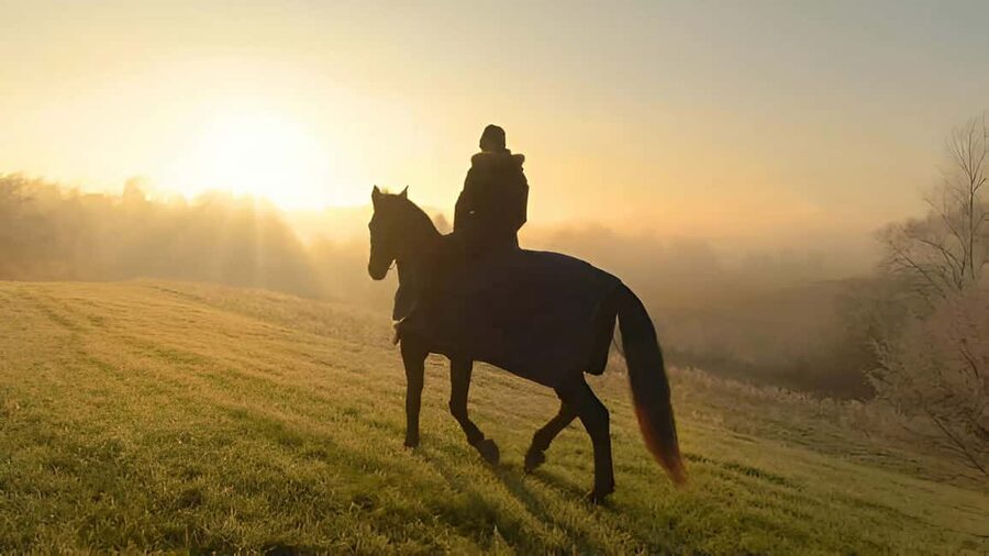 Punta Cana: Sunset Horseback Ride in Macao Beach and Forest - How the horses and guides affect the day