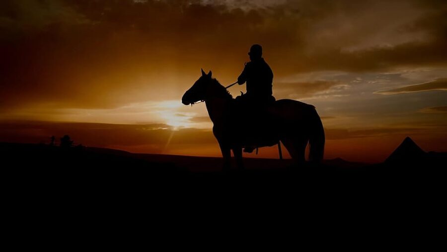 Punta Cana: Sunset Horseback Ride in Macao Beach and Forest - What is included, and what is not