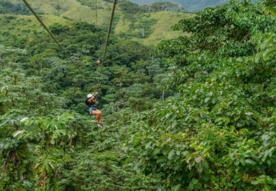 Zipline, Chairlift, Buggy & Horse Ride Adventure