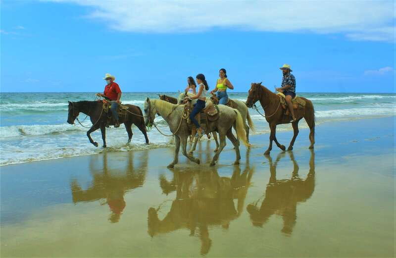 Punta de Mita/Sayulita: Horseback Riding Tour - Should you book the Higuera Blanca horseback ride?