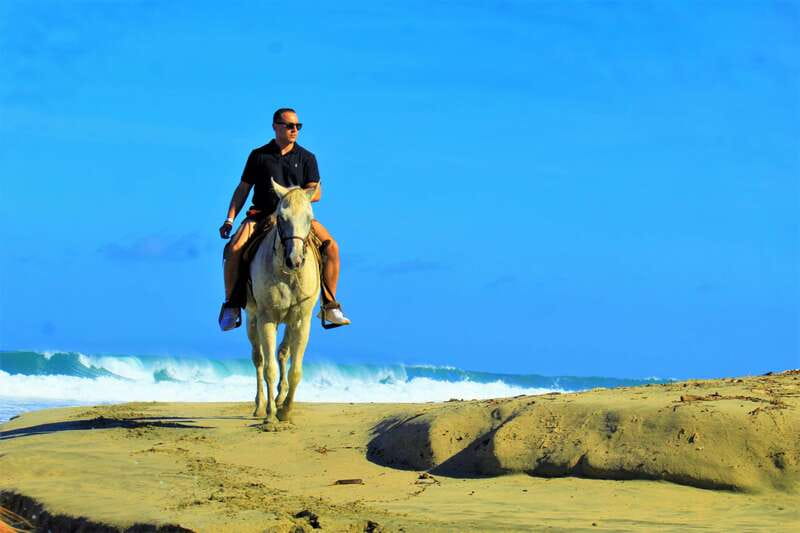 Punta de Mita/Sayulita: Horseback Riding Tour - From ranch animals to the road through Higuera Blanca