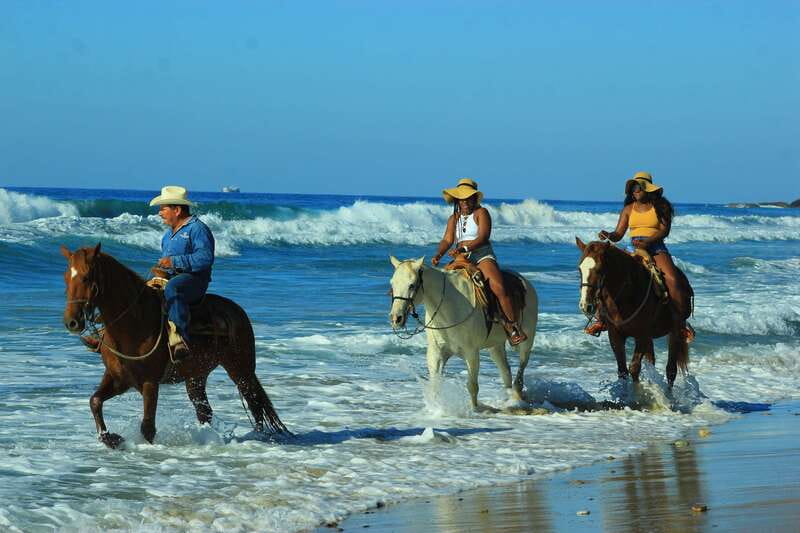 Punta de Mita/Sayulita: Horseback Riding Tour - A ranch full of animals before the saddle