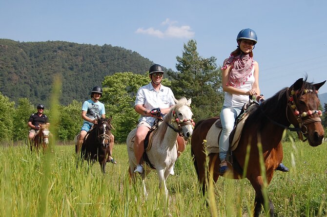 Quad Biking and Horse Riding; Super Combo Tour from Marmaris - The 75-minute quad route