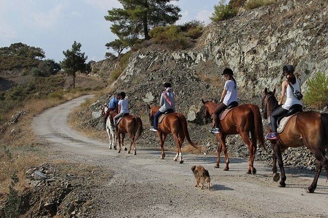 Quad Biking and Horse Riding; Super Combo Tour from Marmaris - Adding 60 minutes on horseback