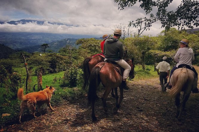 Queveri Horseback Riding Tours - Key points to know before you book