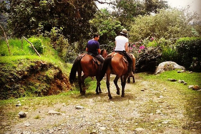 Queveri Horseback Riding Tours - A working farm ride, not a staged trail loop