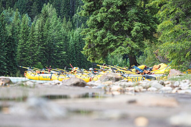 Rafting Adventure on the Kicking Horse River - Who should book this river trip?